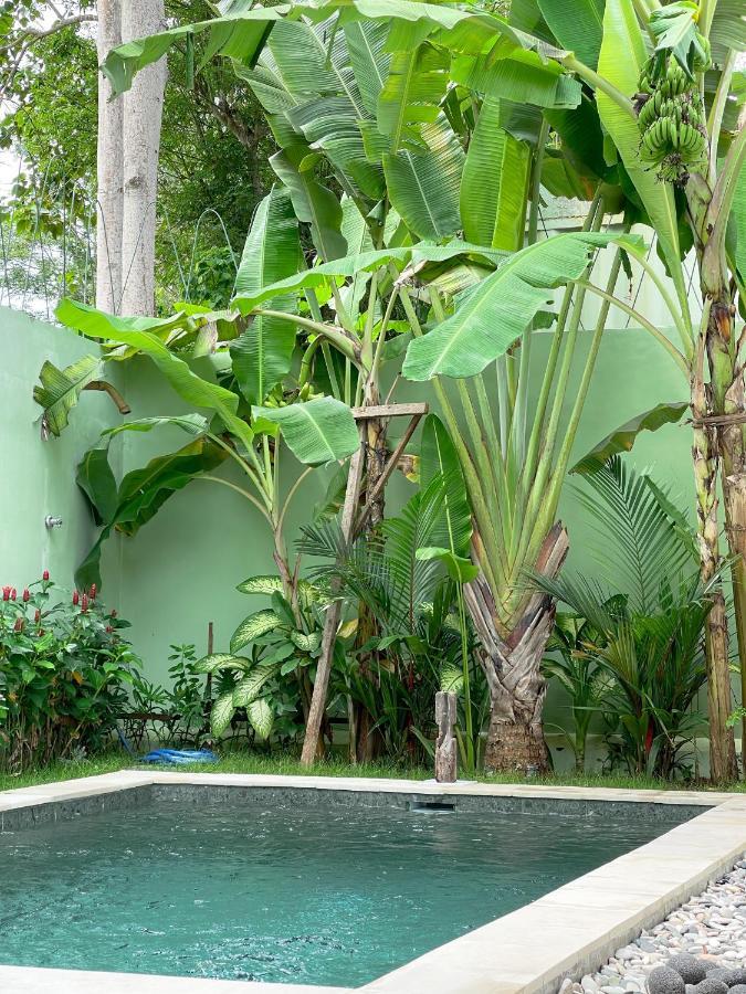 Uluwatu 2Br Art Villa Bingin מראה חיצוני תמונה
